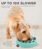 Picture of Outward Hound Fun Feeder Slo Bowl, Slow Feeder Dog Bowl, Small/Tiny, Mint