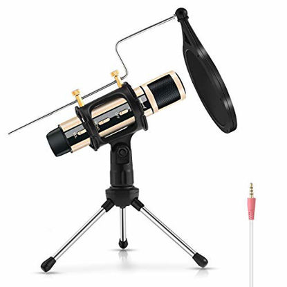 Picture of Studio Recording Microphone, ZealSound Condenser Broadcast Microphone w/Stand Built-in Sound Card Echo Recording Karaoke Singing for Phone Computer PC Garageband Smule Live Stream & YouTube (Gold)