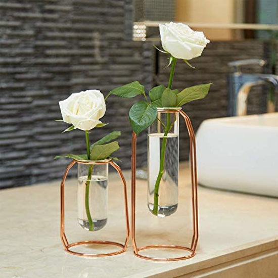 Picture of PuTwo Vases Set of 2 Metal Flower Vase Glass Vase Planter Terrariums Gold Vases Rose Gold Vase Plant Vase Glass Vases Cylinder Vase for Decor Valentines Day Gifts Girlfriend Valentines Gifts for Her