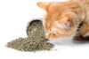 Picture of Organic Catnip by Cat Kush, Safe Premium Blend Perfect for Cats, Instilled with Maximized Potency your Kitty is Guaranteed to Go Crazy for! (1 Cup)