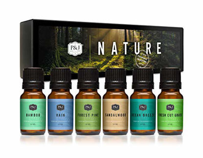 Picture of P&J Trading Nature Set of 6 Premium Grade Fragrance Oils - Forest Pine, Ocean Breeze, Rain, Fresh Cut Grass, Sandalwood, Bamboo - 10ml