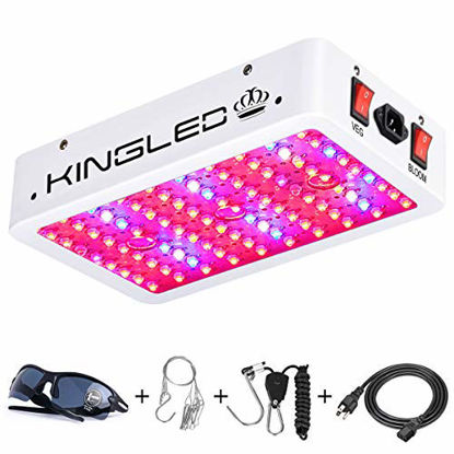 HBlife Bright Cool LED Light Egg Candler Tester for All Egg Type, Powered by Power Cord Only