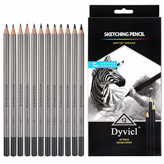 GetUSCart Dyvicl Professional Drawing Sketching Pencil Set  12 Pieces Drawing  Pencils 10B 8B 6B 5B 4B 3B 2B B HB 2H 4H 6H Graphite Pencils for  Beginners  Pro Artists