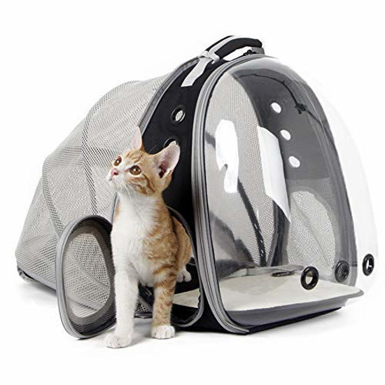 Cat backpack bubble sale