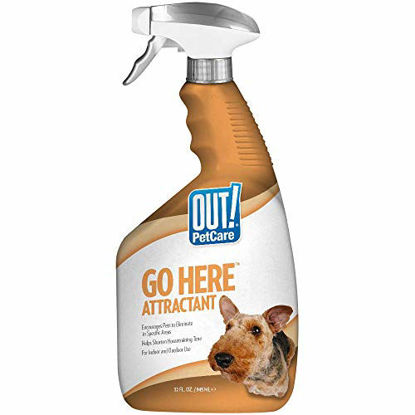 Picture of OUT! Go Here Attractant Indoor & Outdoor Dog Training Spray | Housetraining Aid for Puppies and Dogs | 32 Oz