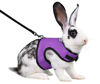 Picture of Niteangel Adjustable Soft Harness with Elastic Leash for Rabbits (L, Purple)