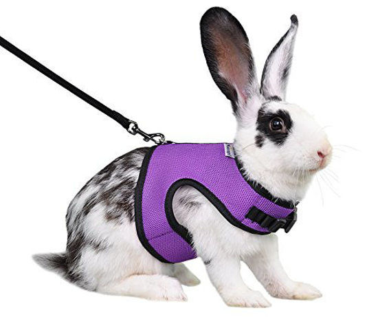 Picture of Niteangel Adjustable Soft Harness with Elastic Leash for Rabbits (L, Purple)