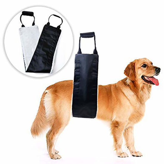 Dog rear hotsell support sling