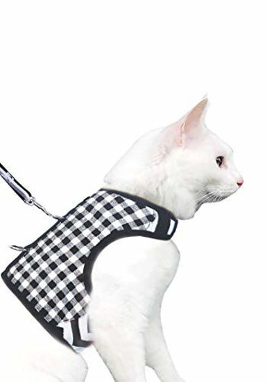 Extra long cat outlet leash