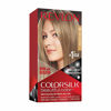 Picture of Revlon Colorsilk Beautiful Color Permanent Hair Color with 3D Gel Technology & Keratin, 100% Gray Coverage Hair Dye, 60 Dark Ash Blonde