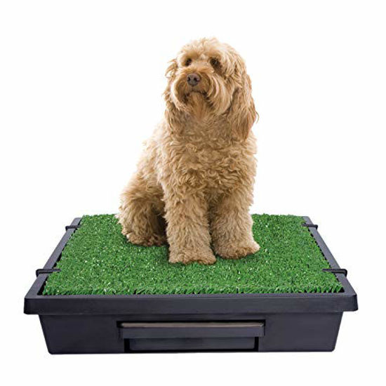 Picture of PetSafe Pet Loo Portable Dog Potty, Alternative to Puppy Pads, Medium