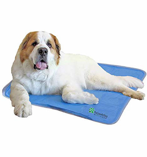 GetUSCart- The Green Pet Shop Dog Cooling Mat - Pressure-Activated Gel Cooling  Mat For Dogs, Extra Large Size - This Pet Cooling Mat Keeps Dogs and Cats  Comfortable All Summer - Ideal