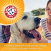 Picture of Arm & Hammer For Pets Dog Dental Care Tartar Control Dental Spray for Dogs | Reduces Plaque & Tartar Buildup Without Brushing | Mint Flavor, 4 Ounces