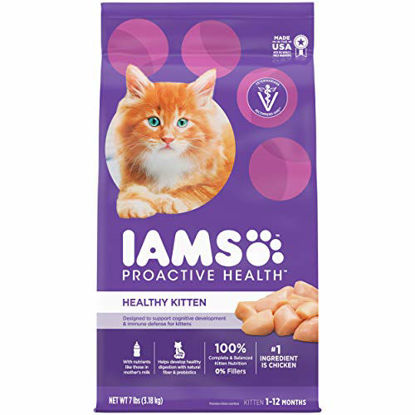 Picture of IAMS PROACTIVE HEALTH HEALTHY KITTEN Dry Cat Food with Fish Oil and Chicken, 7 lb. Bag