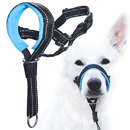 Picture of GoodBoy Dog Head Halter with Safety Strap - Stops Heavy Pulling On The Leash - Padded Headcollar for Small Medium and Large Dog Sizes - Head Collar Training Guide Included (Size 2, Blue)