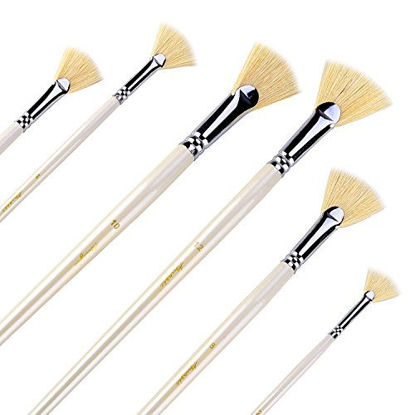 Picture of Amagic Fan Brush Set - Hog Bristle Natural Hair - Artist Soft Anti-Shedding Paint Brushes for Acrylic Watercolor Oil Painting, Long Wood Handle with Case, Set of 6