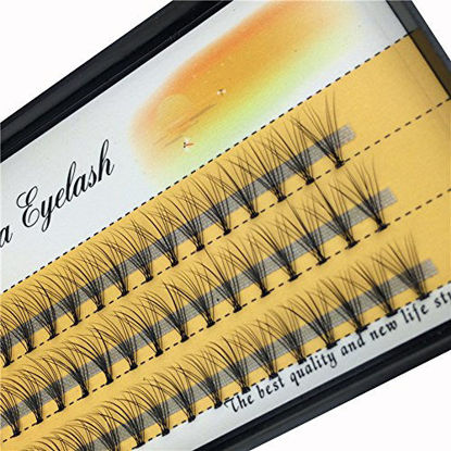 Picture of Scala 10 Root 60pcs Black Handmade False Eyelashes Natural Long Individual Eyelashes Extension Fake Lashes Makeup Beauty Cosmetic (14mm)