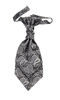 Picture of Hello Tie Pre-tied Microfiber Ascot Ruche Paisley Cravats Tie for Men (Silver)