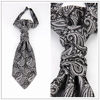 Picture of Hello Tie Pre-tied Microfiber Ascot Ruche Paisley Cravats Tie for Men (Silver)