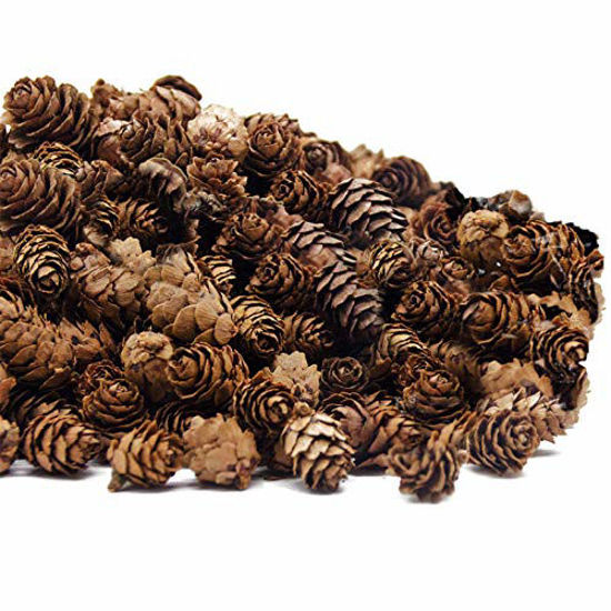 Picture of Deloky 250 PCS Christmas Natural Mini Pine Cones-Thanksgiving Pinecones Ornaments for DIY Crafts, Home Decorations ,Fall and Christmas ,Wedding Decor