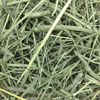 Picture of Oxbow Animal Health Western Timothy Hay - All Natural Hay for Rabbits, Guinea Pigs, Chinchillas, Hamsters & Gerbils - 15 oz.