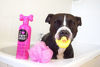 Picture of PET HEAD Life's An Itch Soothing Shampoo