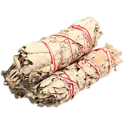 Picture of NC Naturals Organic California White Sage Smudge Bundles (Pack of 3)