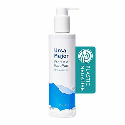 Picture of Ursa Major Fantastic Face Wash | Natural, Vegan & Cruelty Free | Daily Foaming Facial Cleanser for Men & Women | 8 ounces