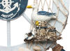 Picture of Rienar Nautical Beach Wooden Boat Ship Steering Wheel Fishing Net Shell Home Wall Decor (Seabird)