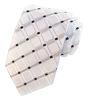 Picture of Elfeves Men's Solid White Silver Checks Jacquard Woven Silk Ties Formal Necktie