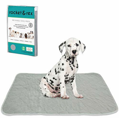  KOOLTAIL Waterproof Dog Food Mat Non-Slip 2 Pack - Absorbent  Dog Bowl Mat Large Dogs Feeding Mat Washable Puppy Pee Pads for Dogs Doggy  Cats Reusable : Pet Supplies