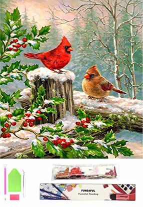 Picture of Fundaful Diamond Painting Kits for Adutls Kids, DIY 5D Full Drill Round Rhinestone Paint with Diamond Cross Stitch Embroidery Art Craft Cardinals Birds Winter, 16x12in