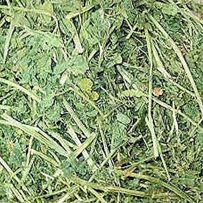 Picture of Small Pet Select Alfalfa Hay Pet Food, 2 Lb.