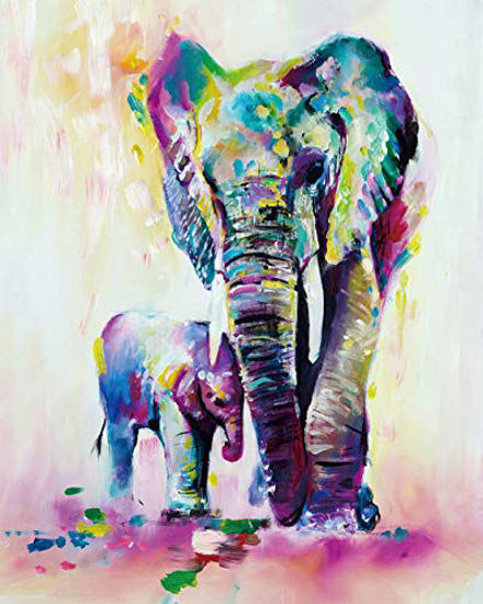 GetUSCart- ShuaXin Paint by Numbers for Adults - DIY Full Set of Assorted  Color Oil Painting Kit and Brush Accessories - Colorful Elephants  Father-Son 16x20