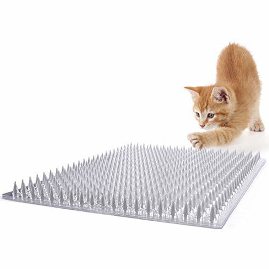 Scat mat cat clearance deterrent