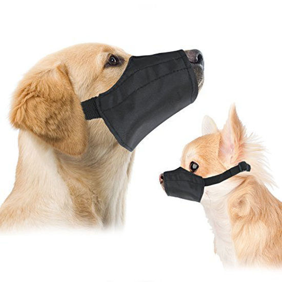 Fitting a shop dog muzzle