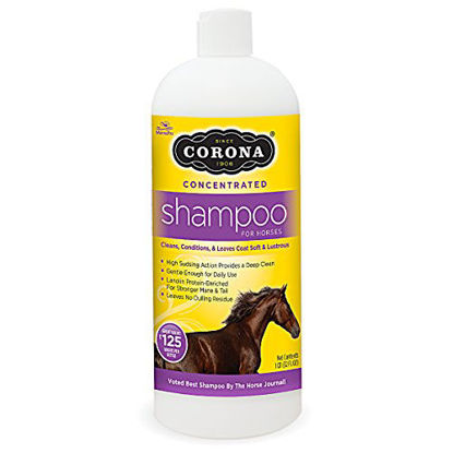 Picture of Corona Concentrated Shampoo For Horses,32 FL OZ