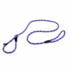 Picture of yueton Pet Dog Nylon Leash Rope Adjustable Loop Slip Lead (Blue)