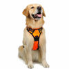 Picture of rabbitgoo Dog Harness,No-Pull Pet Harness with 2 Leash Clips,Adjustable Soft Padded Dog Vest,Reflective No-Choke Pet Oxford Vest with Easy Control Handle for Large Breeds,Orange (L, Chest 20.5-36")