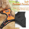 Picture of rabbitgoo Dog Harness,No-Pull Pet Harness with 2 Leash Clips,Adjustable Soft Padded Dog Vest,Reflective No-Choke Pet Oxford Vest with Easy Control Handle for Large Breeds,Orange (L, Chest 20.5-36")