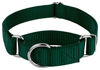 Picture of Country Brook Petz - Green Martingale Heavy Duty Nylon Dog Collar - 21 Vibrant Color Options (1 Inch Width, Large)