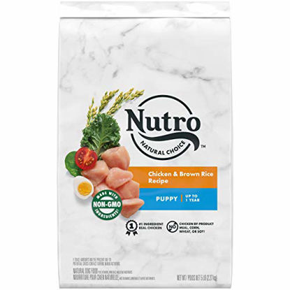 Picture of NUTRO NATURAL CHOICE Puppy Dry Dog Food, Chicken & Brown Rice Recipe Dog Kibble, 5 lb. Bag