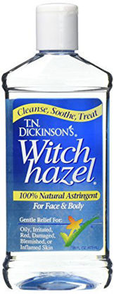 Picture of T.N. Dickinson's Astringent, 100% Natural, Witch Hazel 16 fl oz (473 ml) (2 Pack)