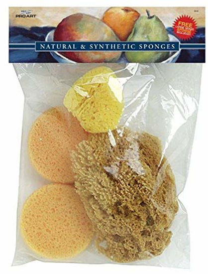 Picture of PRO ART Combo Sponge Set, 1 Silk Sponge, 2 Synthetic Sponge and 1 Grass Sponge (S53)