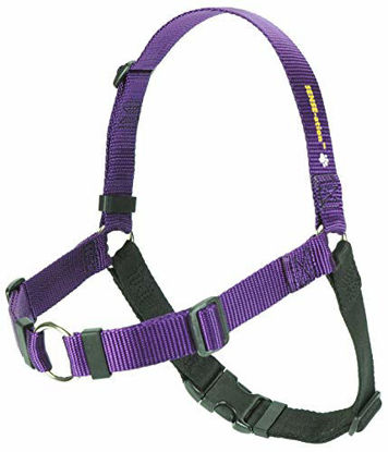 Picture of Softouch Sense-ation No-Pull Dog Harness - 1" Medium/Large