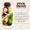 Picture of Garnier Whole Blends Conditioner with Avocado Oil & Shea Butter Extracts, 22 fl. oz.