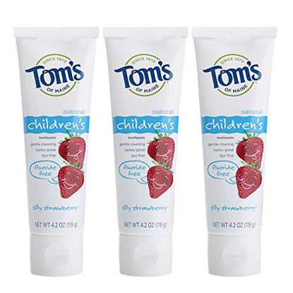 Picture of Tom's of Maine Natural Children's Fluoride-Free Toothpaste, Silly Strawberry, 4.7 oz. 3-Pack