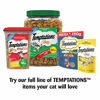 Picture of TEMPTATIONS Classic Crunchy and Soft Cat Treats Blissful Catnip Flavor, 16 Oz. Tub