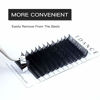 Picture of TDANCE Premium D Curl 0.18mm Thickness Semi Permanent Individual Eyelash Extensions Silk Classic Lashes Professional Salon Use Mixed 14-19mm Length In One Tray (D-0.18,14-19mm)