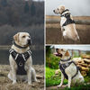 Picture of WINSEE Dog Harness No Pull, Pet Harnesses with Dog Collar, Adjustable Reflective Oxford Outdoor Vest, Front/Back Leash Clips for Small, Medium, Large, Extra Large Dogs, Easy Control Handle for Walking